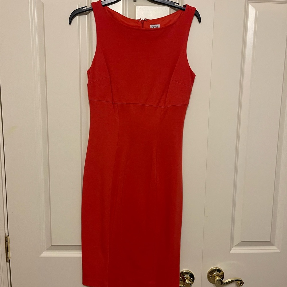 Elegant Red Dress